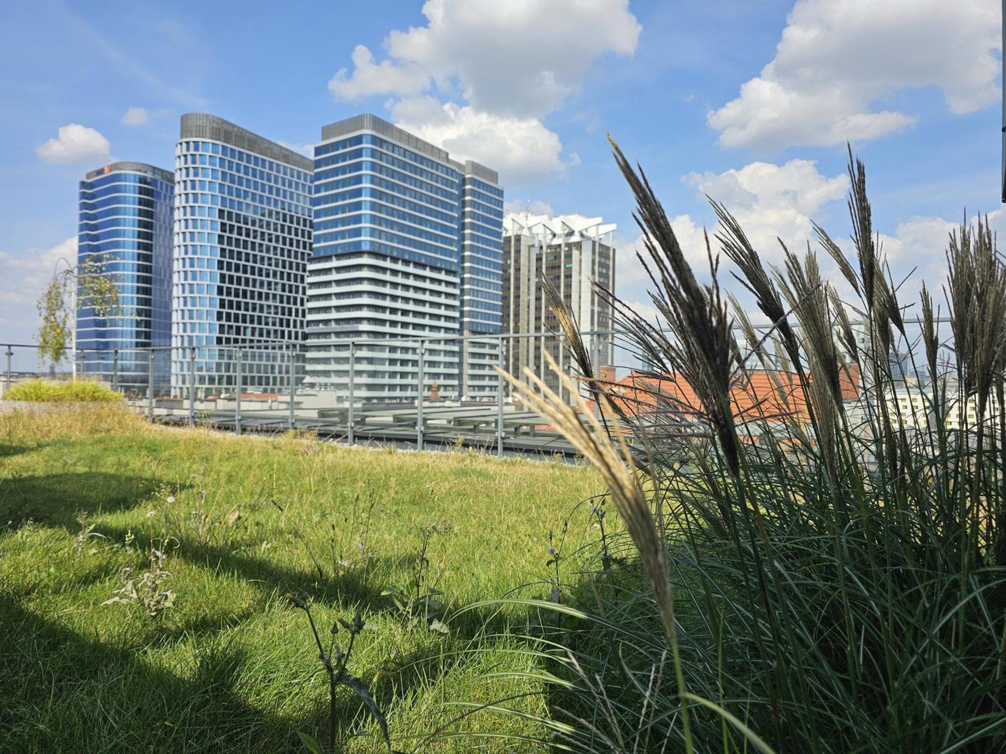 Urban Apartments Premium, Opolska 10 No 77B, Free Garage, Self Check-In Katowice Eksteriør bilde